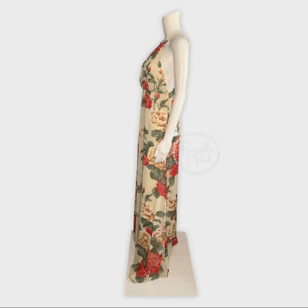 NWT SHOW ME YOUR MUMU Rose Print Amanda Maxi Dress - Picture 7 of 10